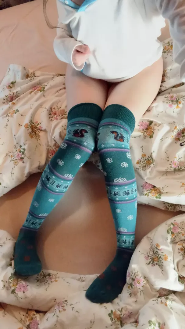 ..or is this too adorable? (⌒.⌒) [f]