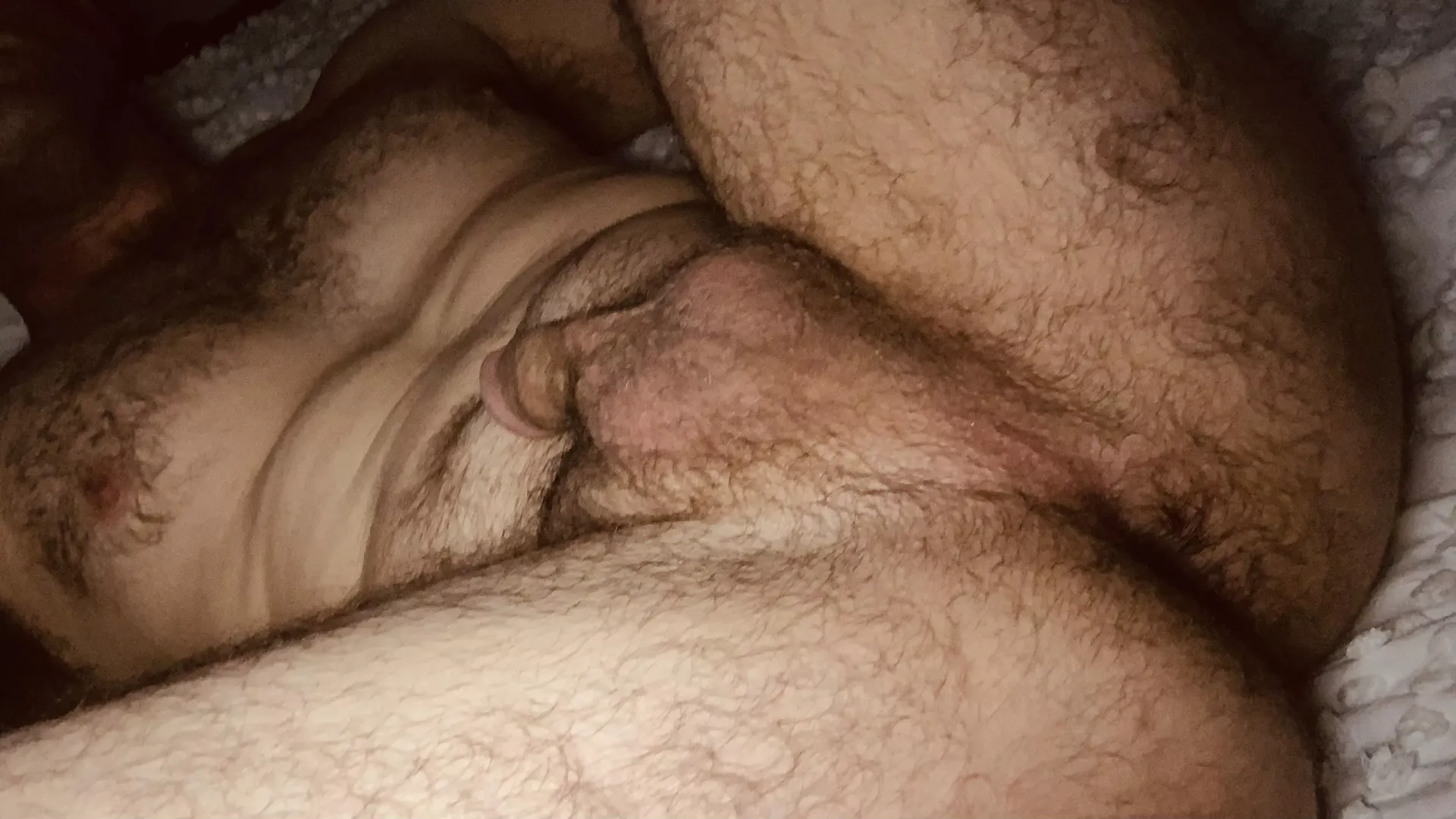 Otter in bed