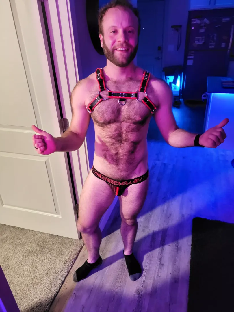 Otter in gear