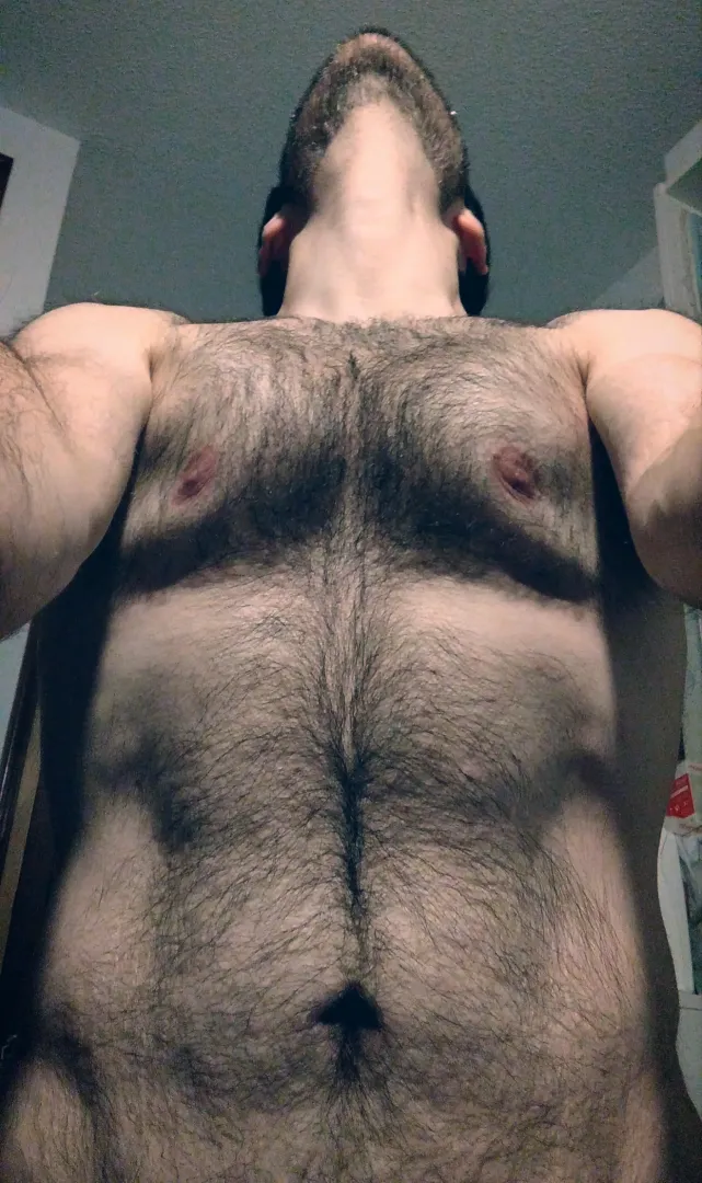 Otter or bear?