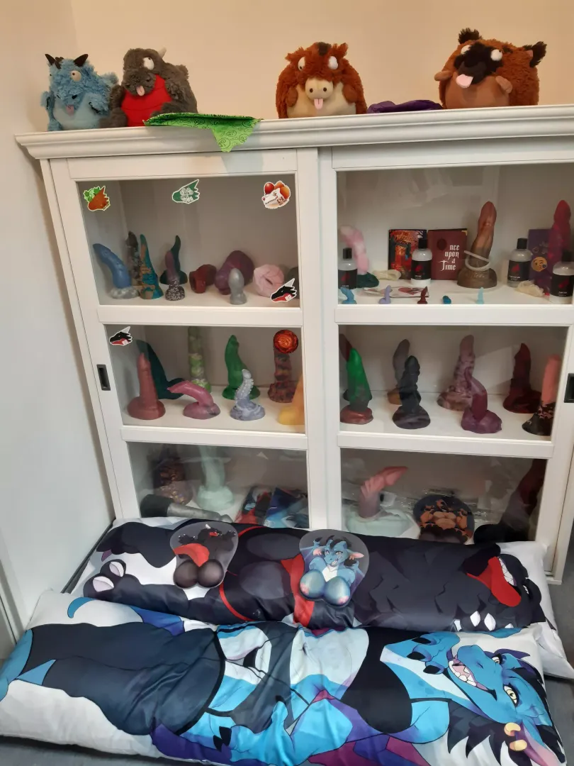 Our Collection 😻