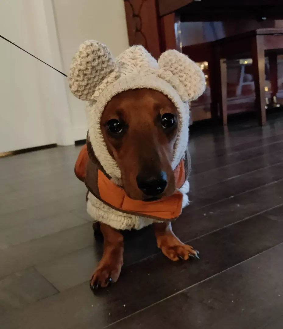 Our cookie