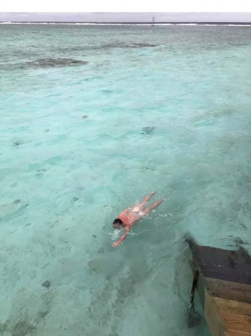 Out for a swim