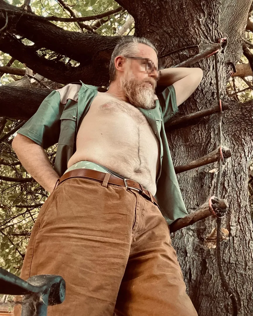Out in the Backyard