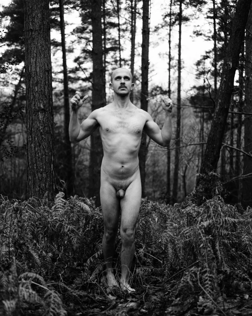 Out in the Woods