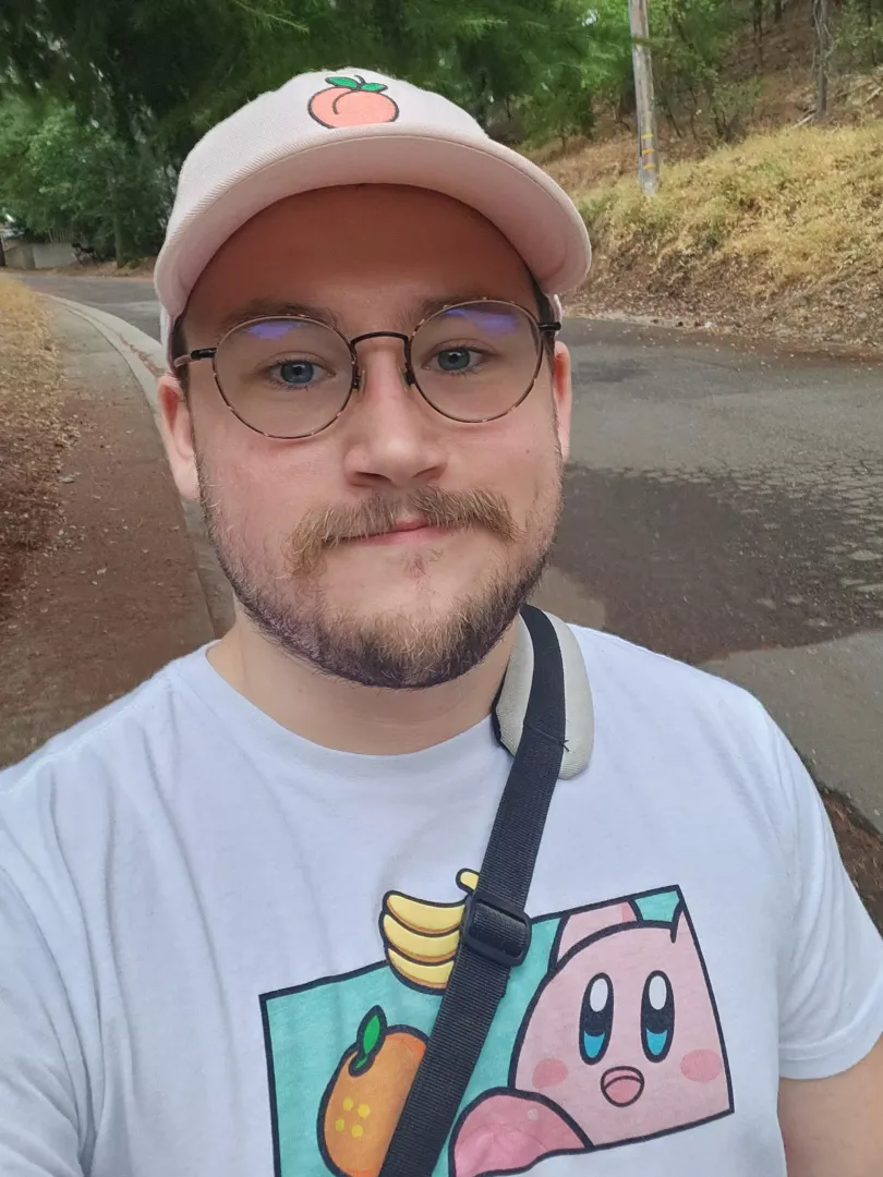 Out walking Dogs