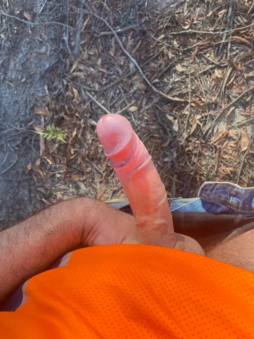 Out wood cutting