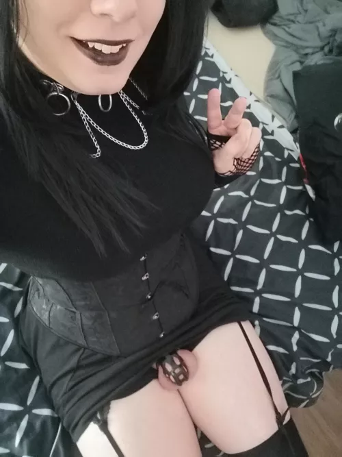 Outfit to match the cage