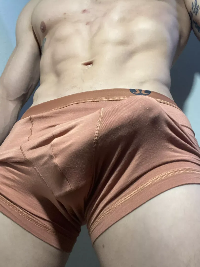 Outlining My Lulus Nicely