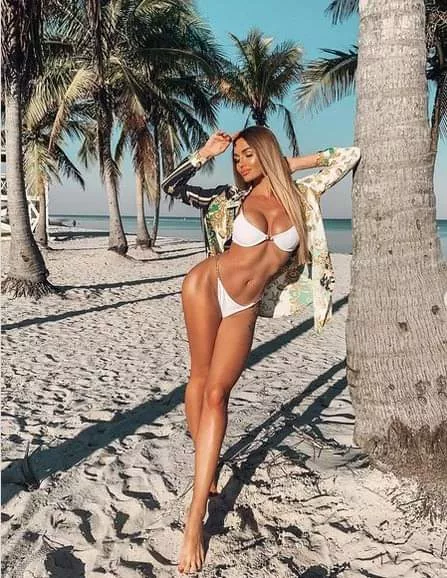 Palm trees