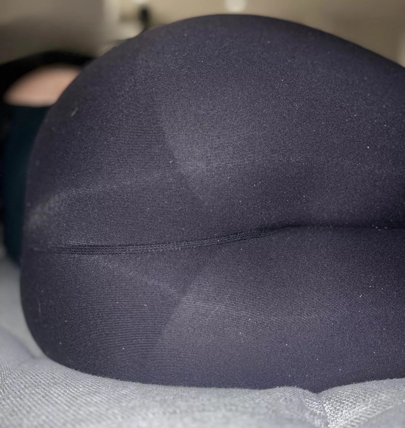 Panty lines in the wild 