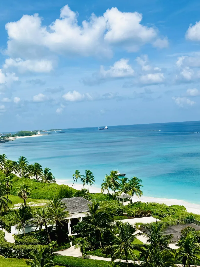 Paradise 
