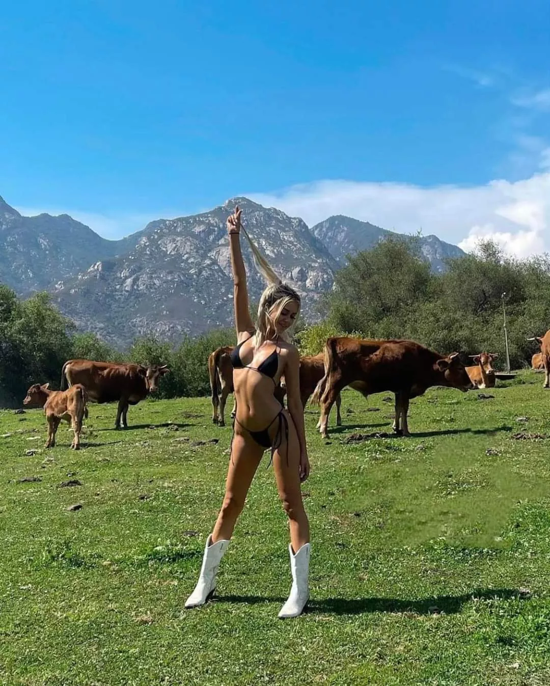 pasture