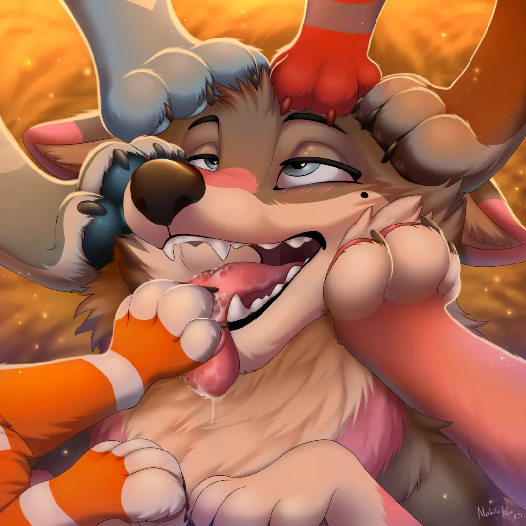Paw is love <3