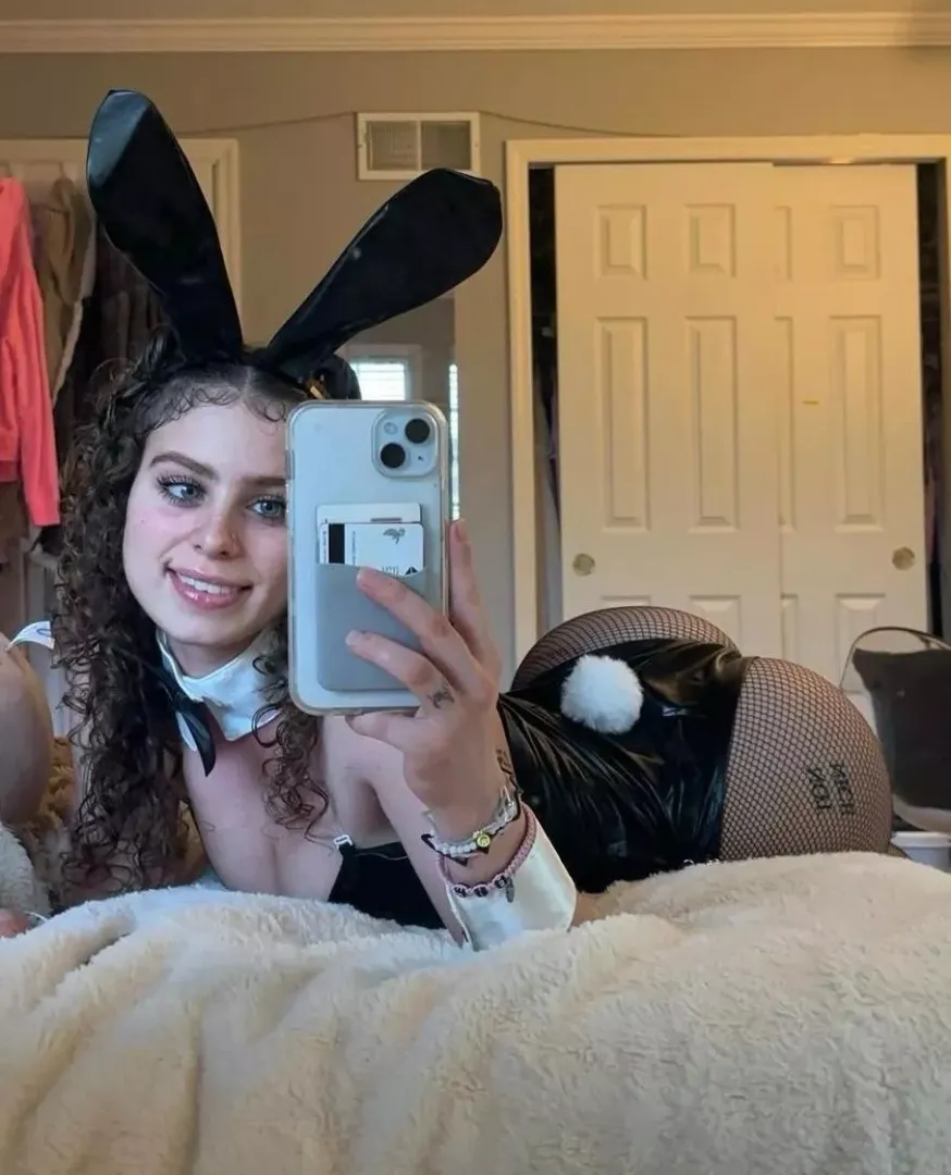 pawg bunny