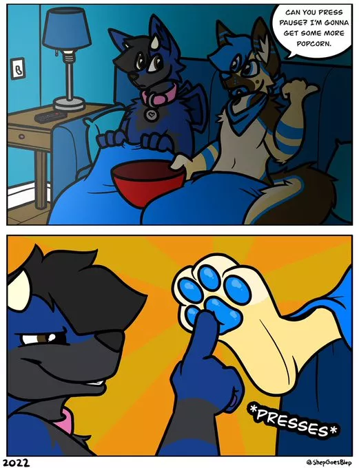 pawse (shepgoesblep)