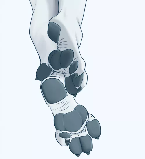 Pawstretches