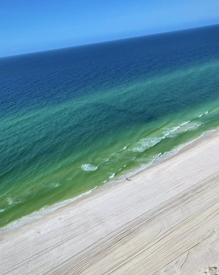 PCB - Florida.