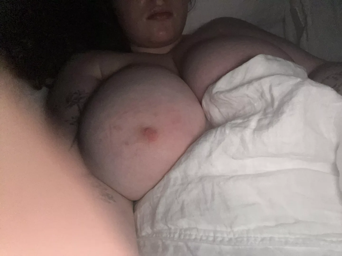 peek-a-boo 🤭