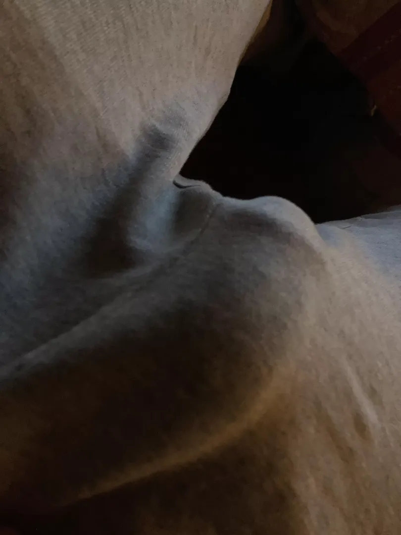 Penis