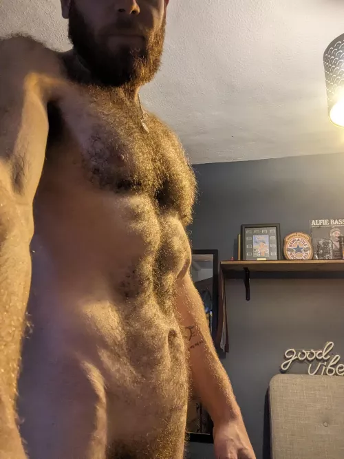 People had been asking for the front so here you are!