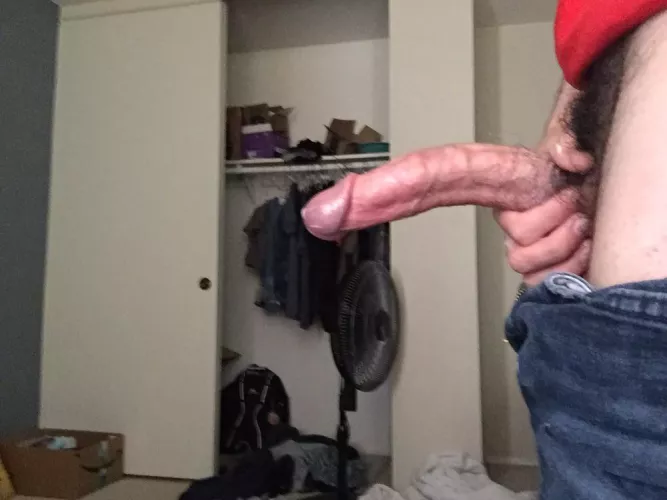 Perfect curve