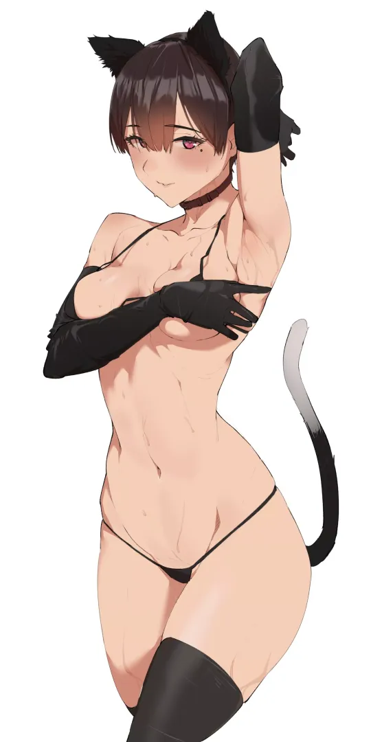 Perfect proportions