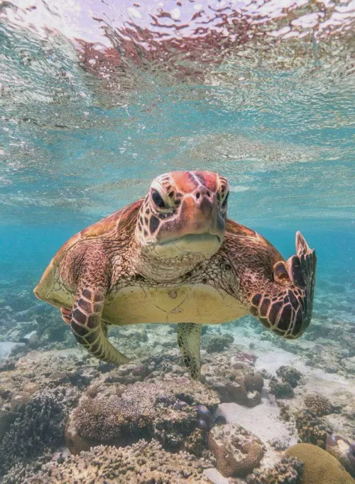 Perfect timing perfec shot

