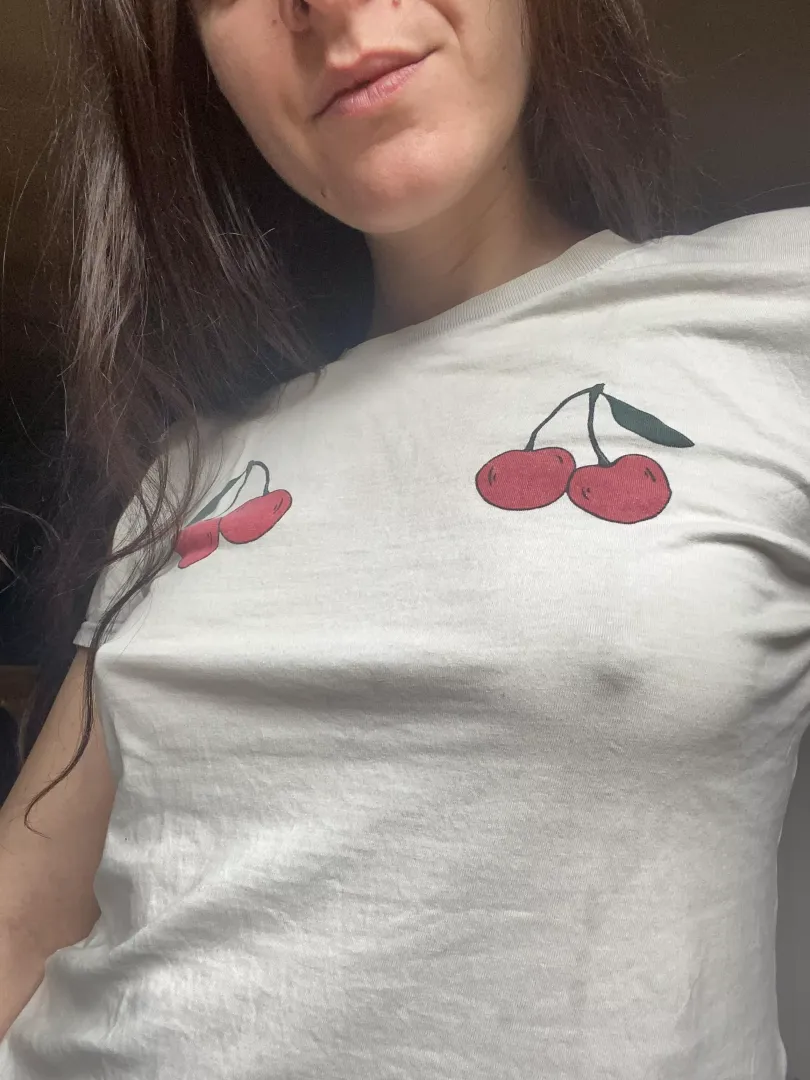 Perky pokie