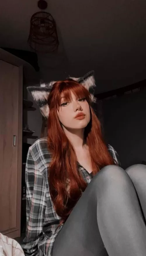 Pet me 🦊🐾