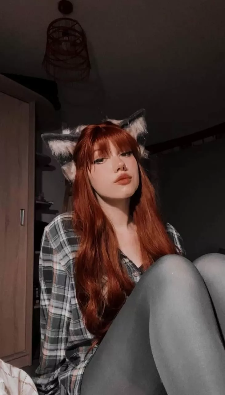 Pet me 🦊🐾