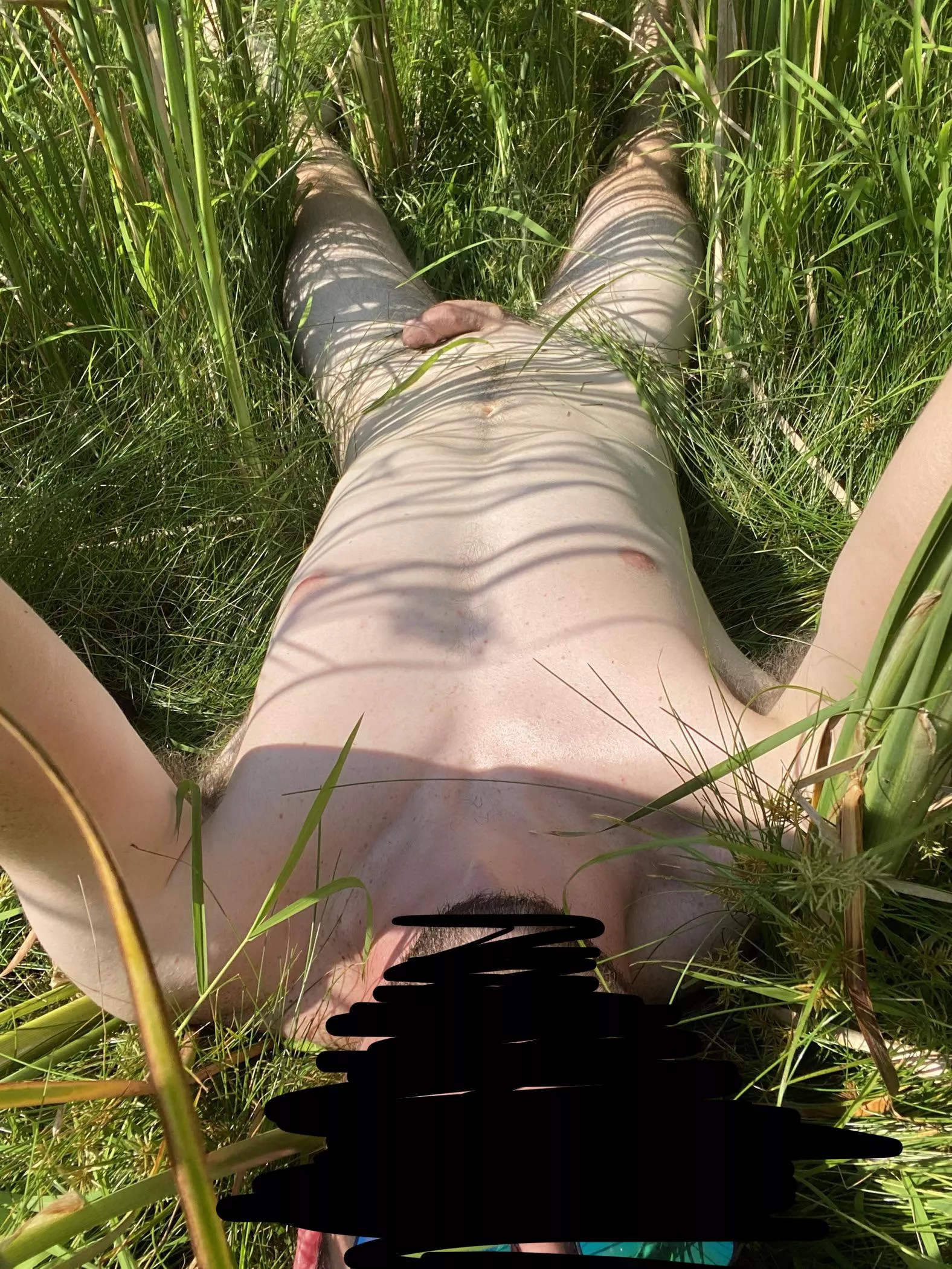 Photosynthesis