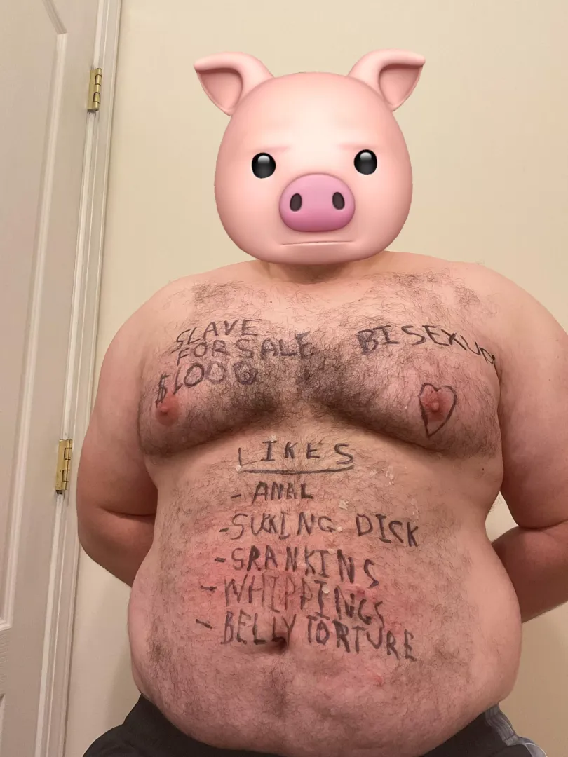 Piggy for sale. Start your bids.