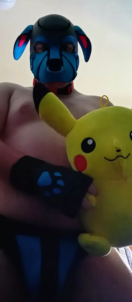 Pikachu meets lonely chub pup