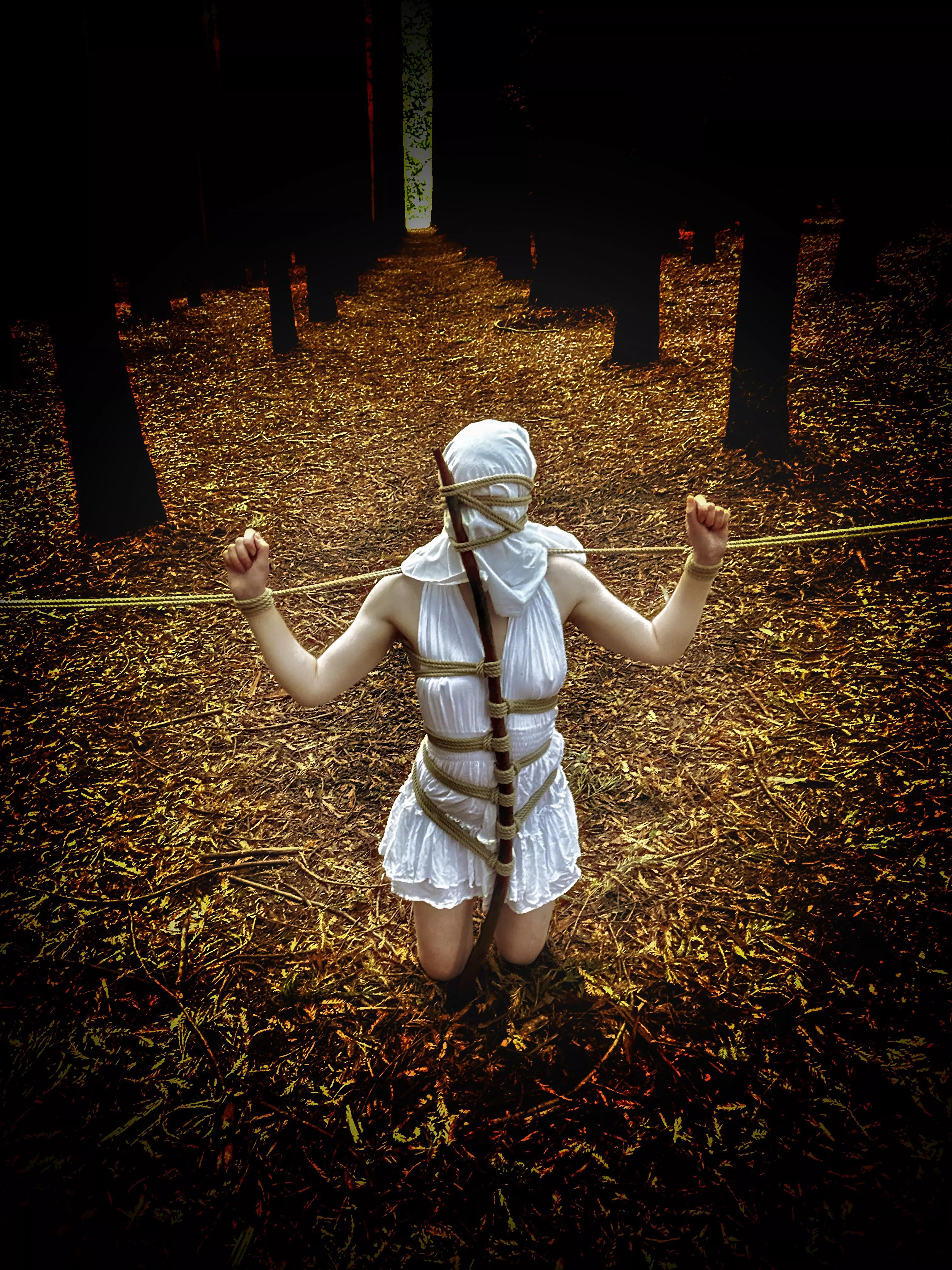 ~ PILLORY ~
