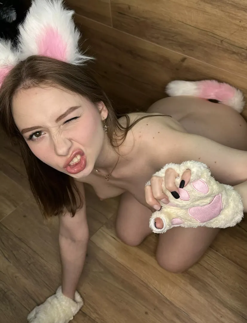 Pink kitty cat