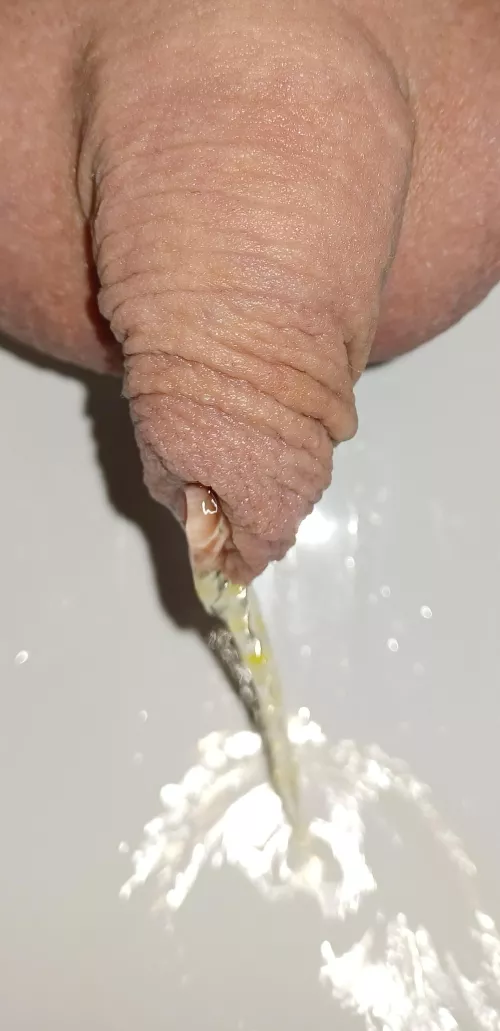 Pissing in the sink