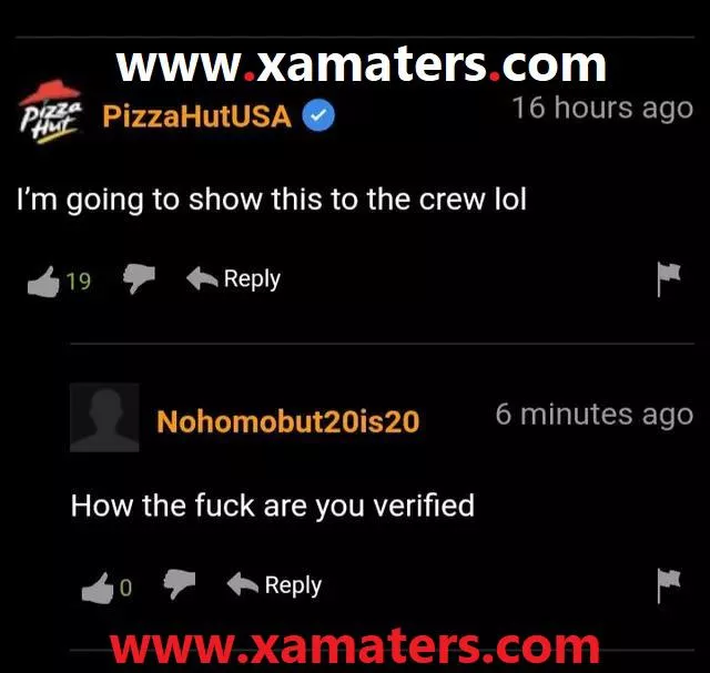 PizzaHub - bro need this!!