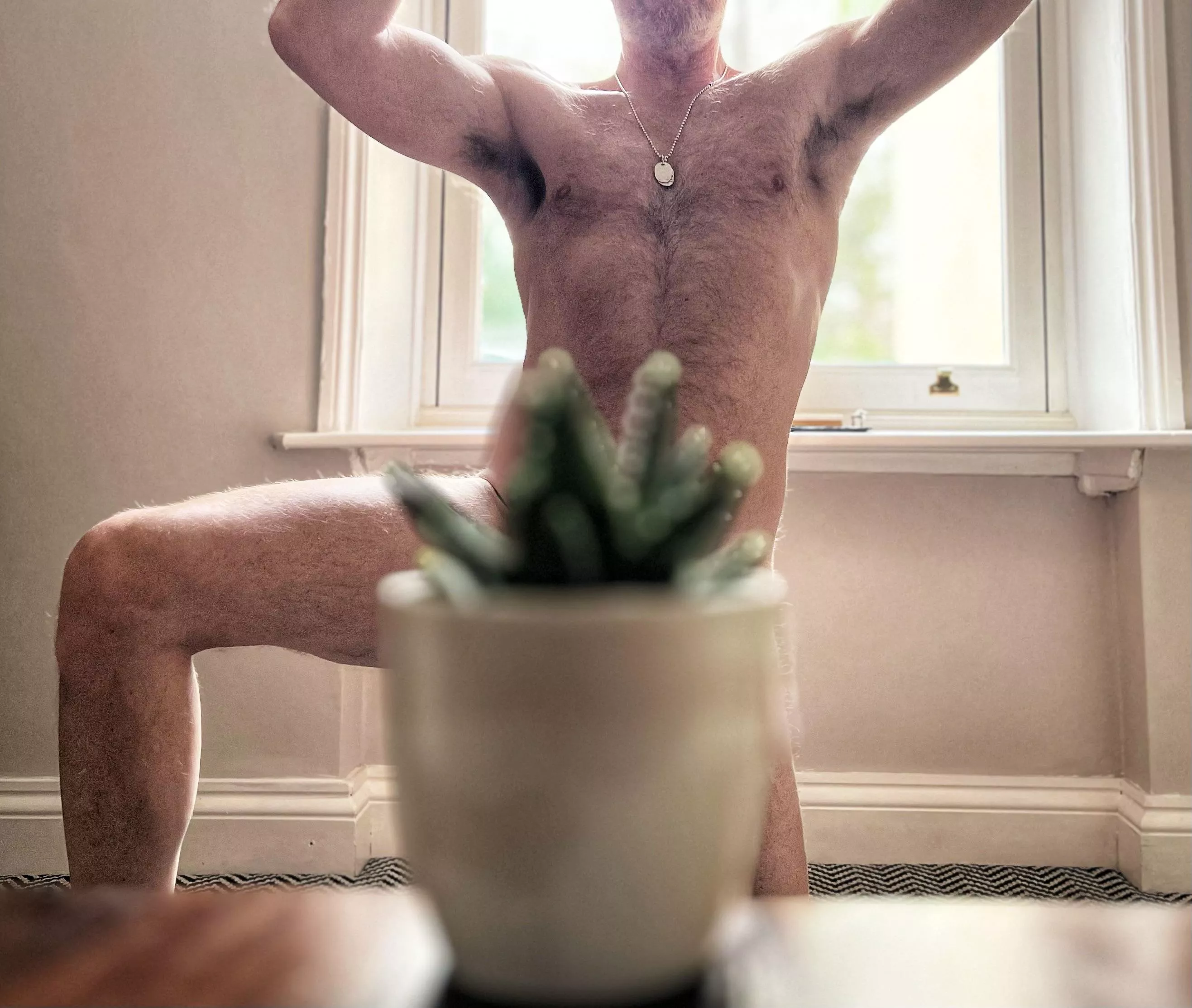 Plant blocked
