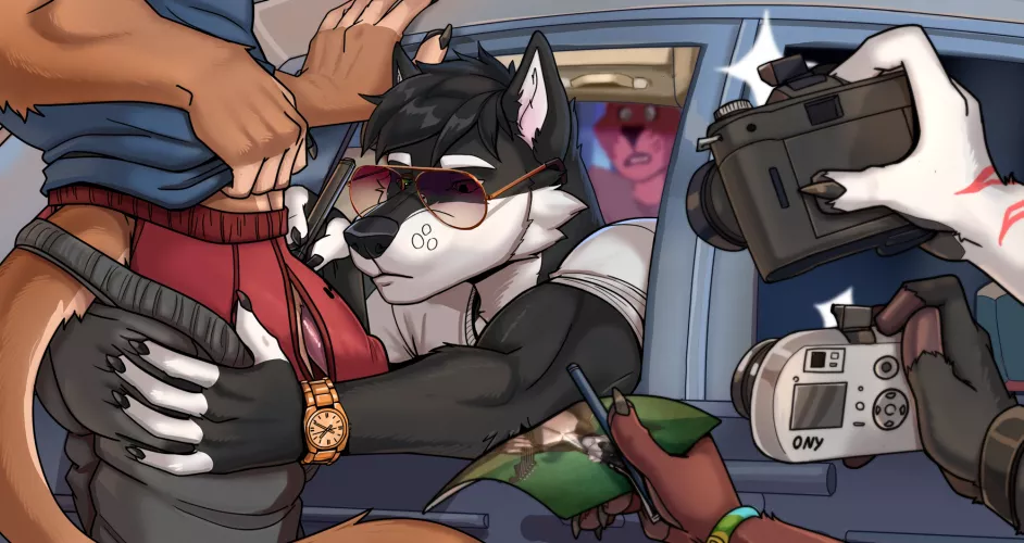 Playing for the Paparazzi (Odu)