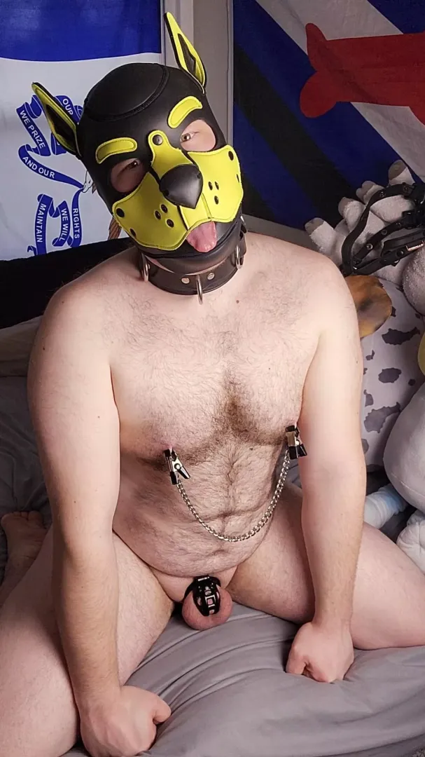 Playtime?