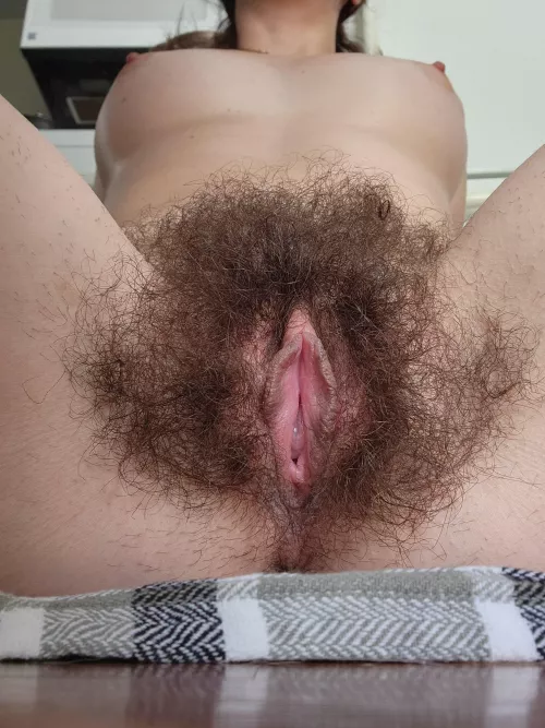 Please rate my hairy pussy 