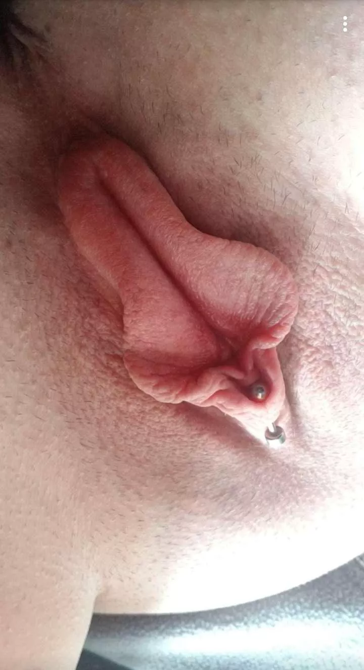 Please rate my pussy
