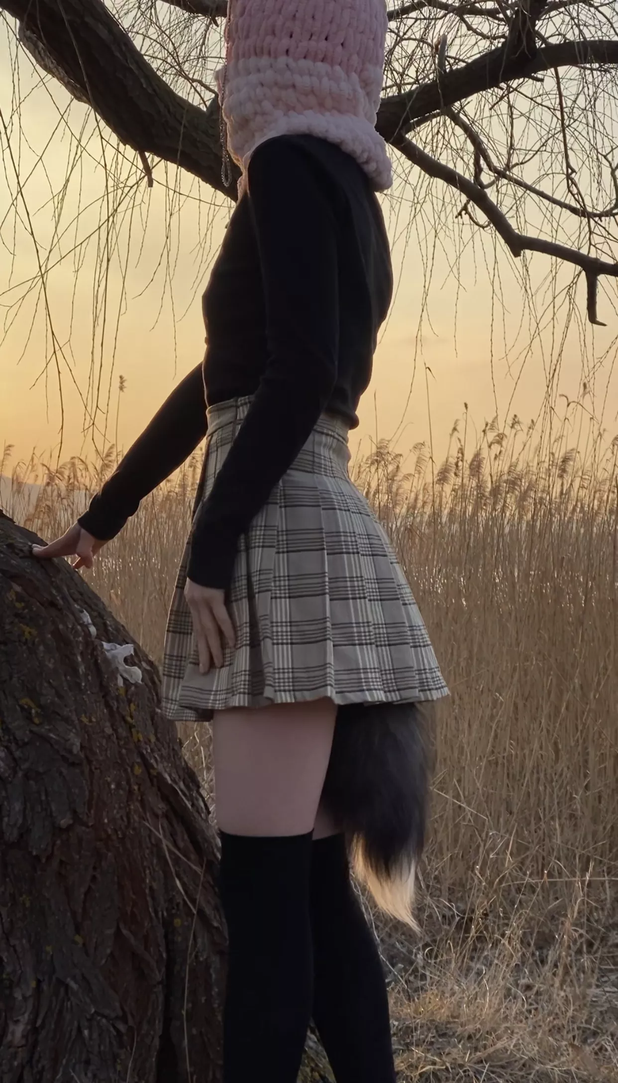 Pluget tikky on public^^