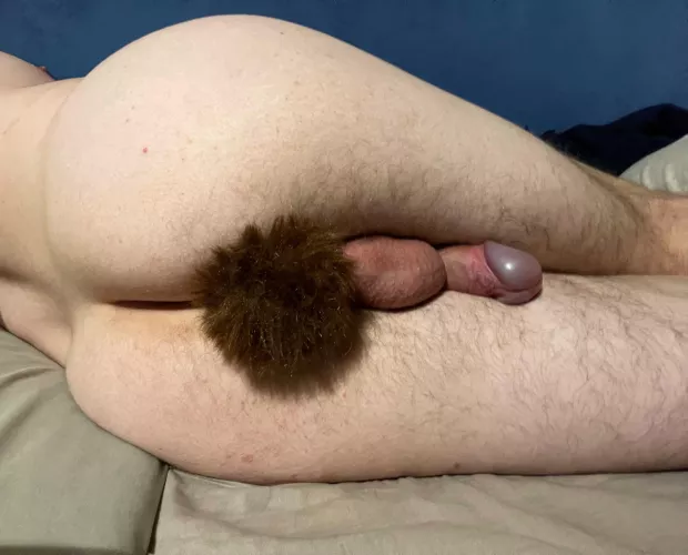 Plugged butt