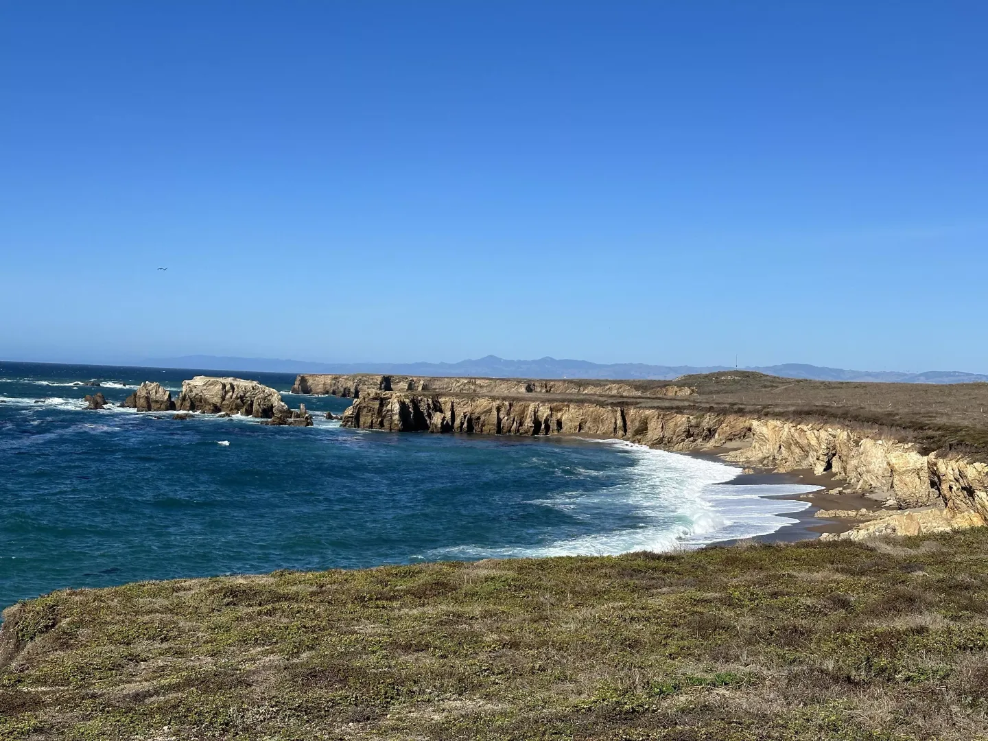 Point Buchon