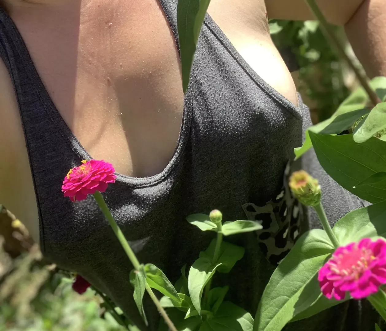 Pokies alert in my garden!