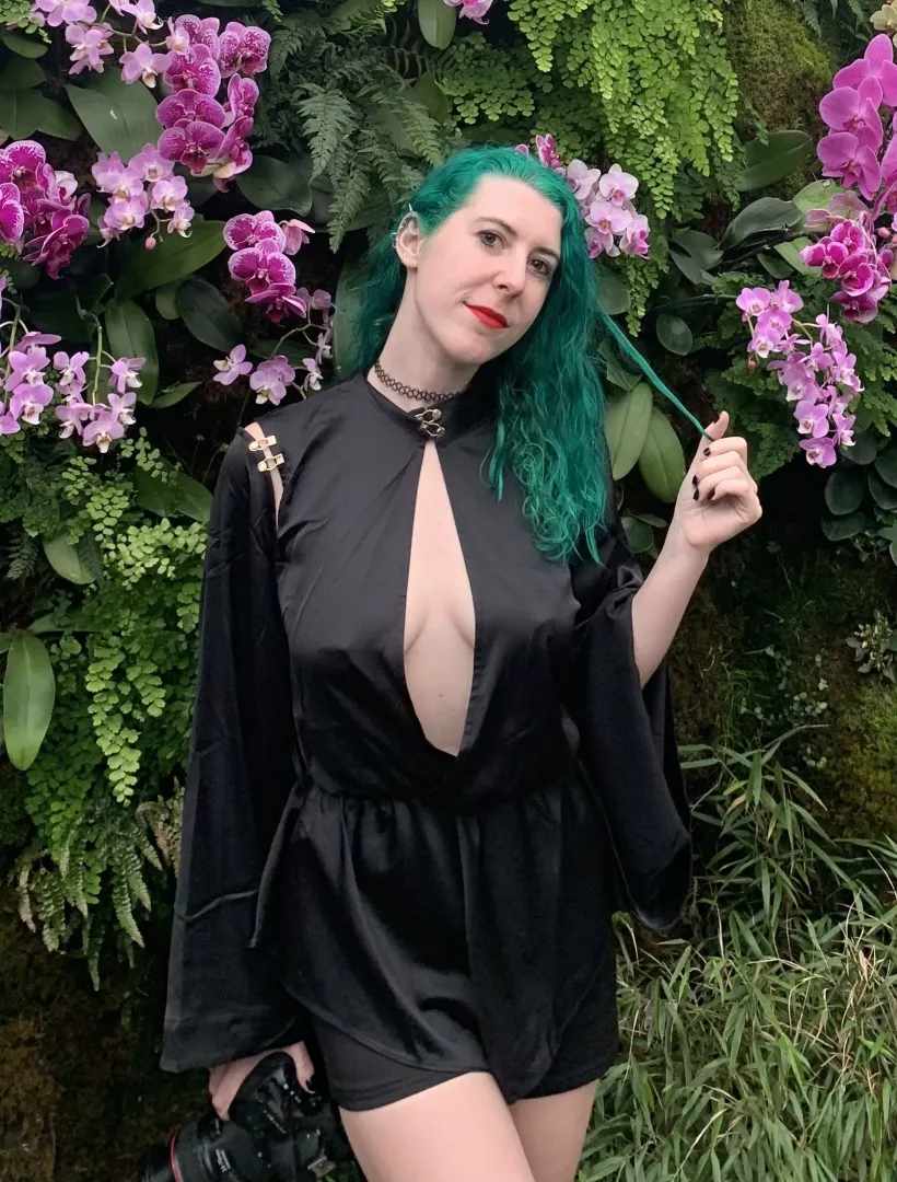 Pokies in nature