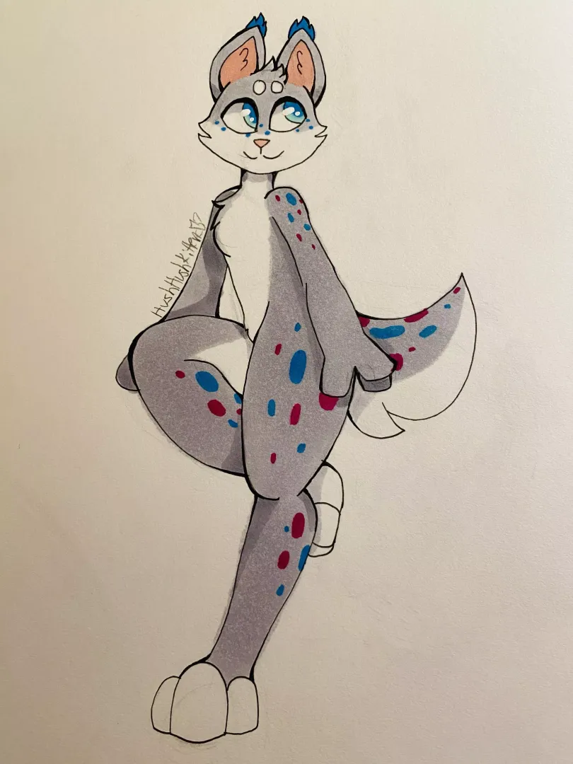 Polka by Me!