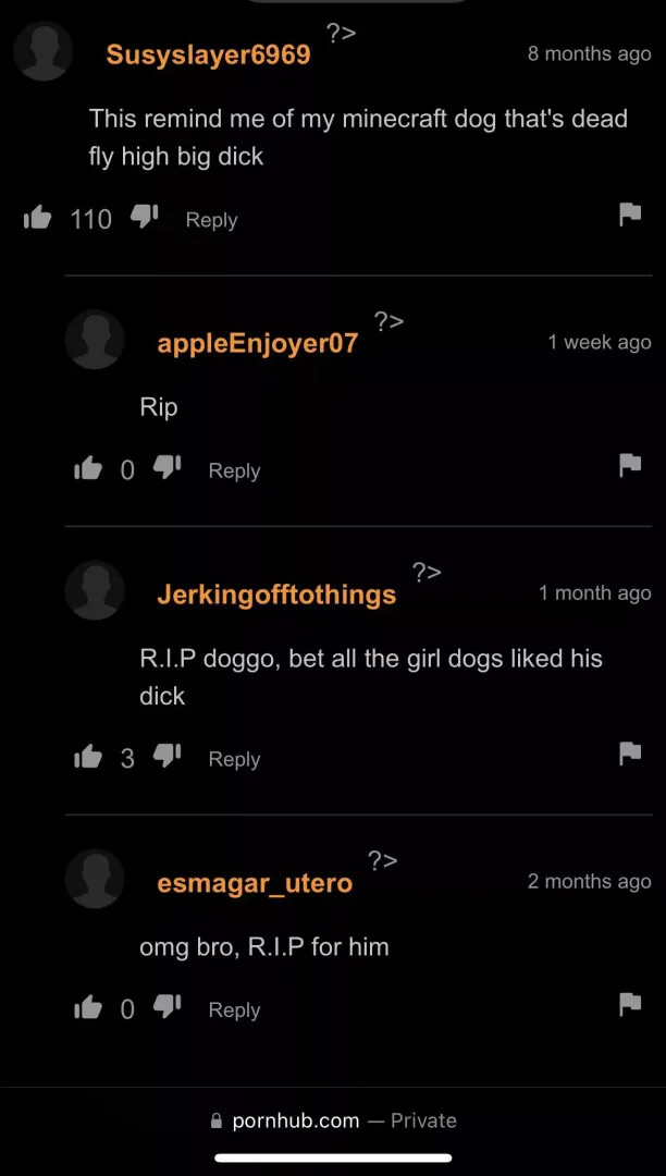 poor dog